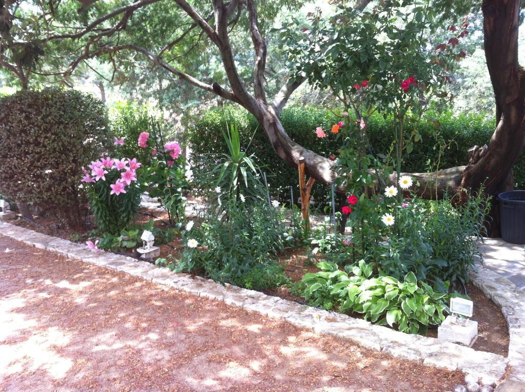 Villa Elofred Saint-Florent  Quarto foto