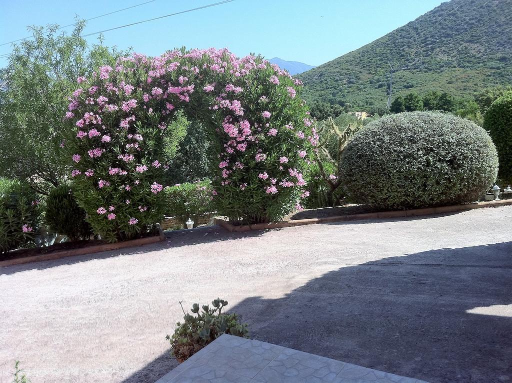 Villa Elofred Saint-Florent  Exterior foto