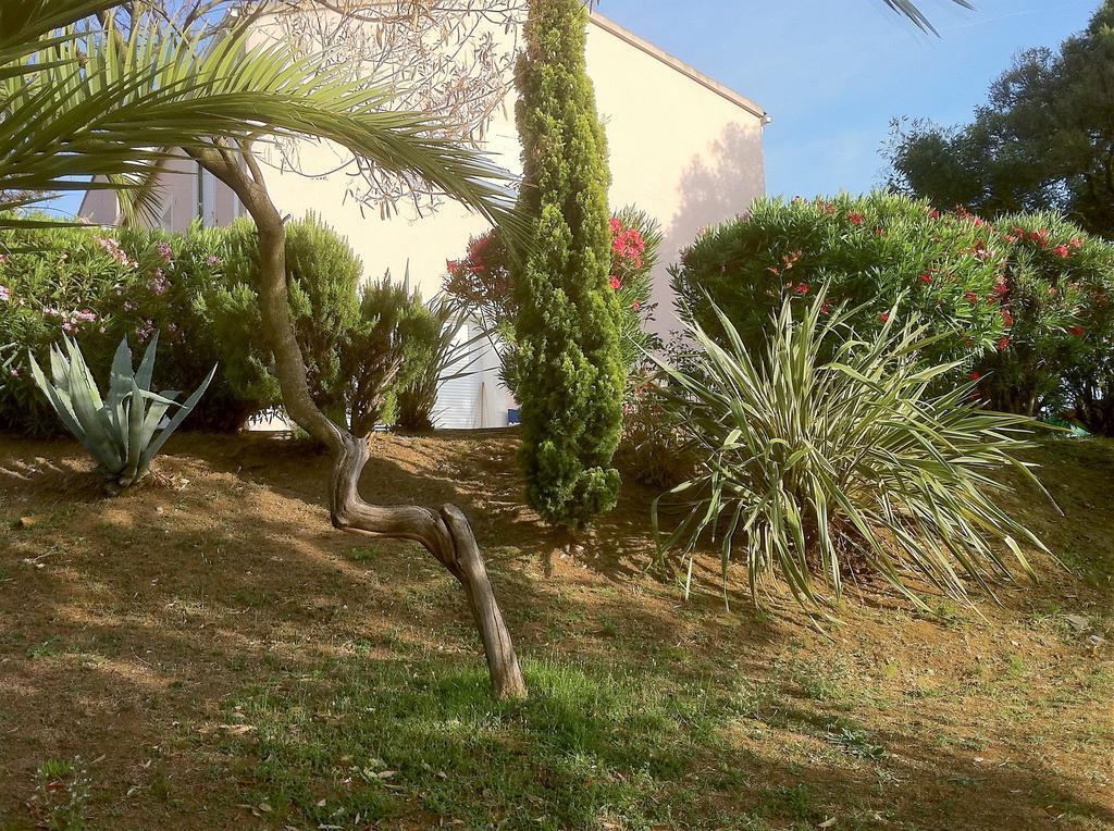 Villa Elofred Saint-Florent  Exterior foto