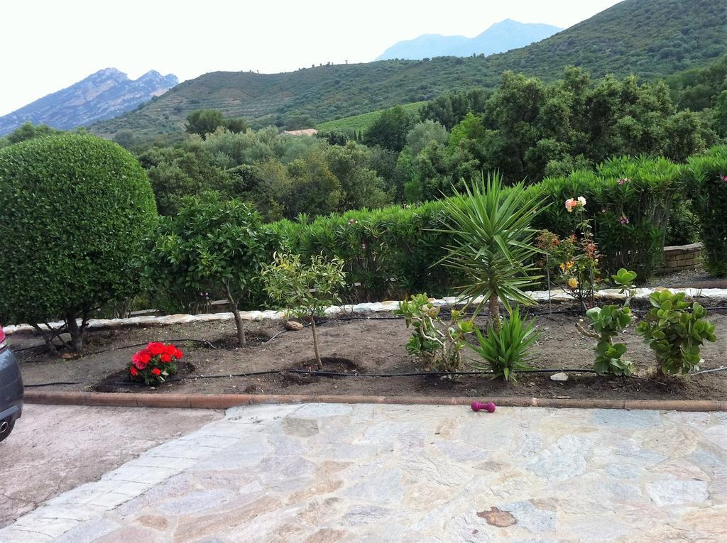 Villa Elofred Saint-Florent  Exterior foto
